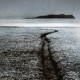 SALT HOUSE-HUAM (CD)