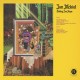 JON MCKIEL-BOBBY JOE HOPE -DOWNLOAD- (LP)