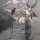 MARROWFIELDS-METAMORPHOSES -DIGI- (CD)