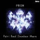 PETRI/REED/SVENDSON/MOORE-PRISM -DIGI- (CD)