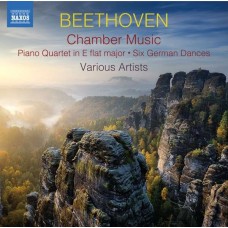 L. VAN BEETHOVEN-CHAMBER MUSIC (2CD)