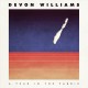 DEVON WILLIAMS-A TEAR IN THE FABRIC (CD)