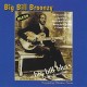 BIG BILL BROONZY-BIG BILL BLUES (CD)