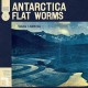 FLAT WORMS-ANTARCTICA (CD)