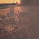 BOBBY FRANK BROWN-ENLIGHTENING BEAM OF.. (LP)