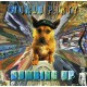 WORLD PARTY-DUMBING UP (CD+DVD)