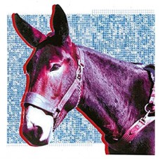 PROTOMARTYR-ULTIMATE SUCCESS TODAY (CD)
