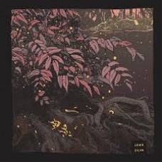 LDMR-SILVA (LP)