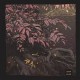 LDMR-SILVA (LP)