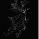 JARBOE-ILLUSORY (LP)