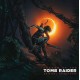 BRIAN D`OLIVEIRA-SHADOW OF THE TOMB.. (2LP)