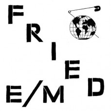 FRIED E/M-MODERN WORLD (LP)