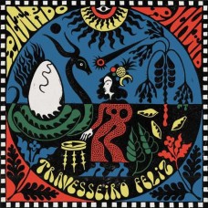 RICARDO RICHAID-TRAVESSEIRO FELIZ (CD)