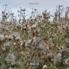 BROADS & MILLY HIRST-OLLUST (CD)