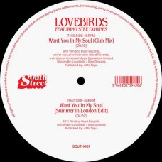 LOVEBIRDS-WANT YOU IN MY SOUL (LP)
