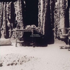 LEIFUR JAMES-ANGEL IN DISGUISE (LP)