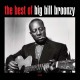 BIG BILL BROONZY-BEST OF -HQ- (LP)