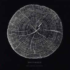 DRIFTWOOD-ONLY FIGHTERS LEFT BEHIND (2LP)