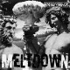 EXISTENZ-MELTDOWN (LP)