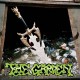 GARDEN-KISS MY SUPER BOWL RING (CD)