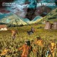 FLOWERS IN CONCRETE / DIM-SPLIT (LP)