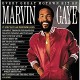 MARVIN GAYE-EVERY GREAT MOTOWN HIT OF MARVIN GAYE: 15 SPECTACULAR PERFORMANCES -HQ- (LP)