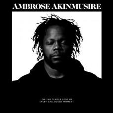 AMBROSE AKINMUSIRE-ON THE TENDER SPOT OF EVERY CALLOUSED MOMENT (CD)