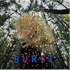 SNARLS-BURST (CD)