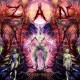 ZAN-BEHOLD THE KEY -LTD- (CD)