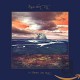 STEVE VON TILL-NO WILDERNESS DEEP ENOUGH (LP)