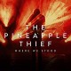PINEAPPLE THIEF-WHERE WE STOOD -LIVE- (2CD)