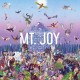 MT. JOY-REARRANGE US (LP)