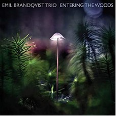 EMIL BRANDQVIST TRIO-ENTERING THE WOODS -DIGI- (CD)