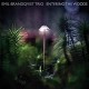 EMIL BRANDQVIST TRIO-ENTERING THE WOODS -DIGI- (CD)