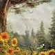 ACACIA STRAIN-SLOW DECAY (CD)