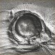 LLNN-DEADS (LP)