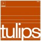 MASTON-TULIPS -LTD- (LP)