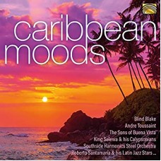 V/A-CARIBBEAN MOODS (CD)