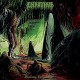 CHAOTIAN-FESTERING EXCARNATION (LP)