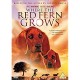 FILME-WHERE THE RED FERN GROWS (DVD)