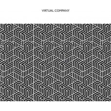 VIRTUAL COMPANY-VIRTUAL COMPANY (CD)