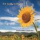 MASSIMO GIUNTINI-LONELY SUNFLOWER (CD)
