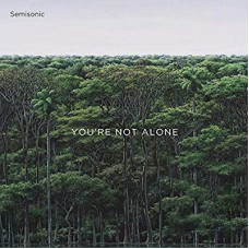 SEMISONIC-YOU'RE NOT ALONE (12")