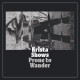 KRISTA SHOWS-PRONE TO WONDER (CD)