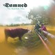 DAMNED-ROCKFIELD FILES (CD)