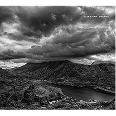 LLYN Y CWN-DINORWIC -DIGI- (CD)