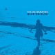 SYLVIE SIMMONS-BLUE ON BLUE (LP)