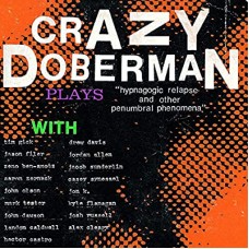 CRAZY DOBERMAN-HYPNOGOGIC RELAPSE AND.. (LP)