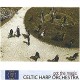 CELTIC HARP ORCHESTRA-GOT THE MAGIC (CD)