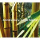BEAT PHARMACY-EARTHLY DUBS (CD)